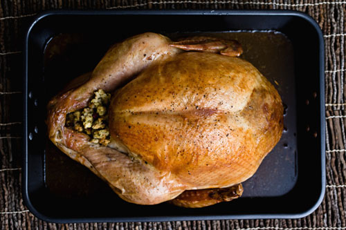 20091110-altonbrown2